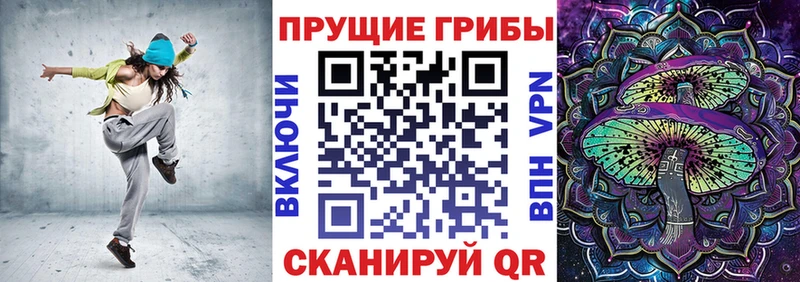 Галлюциногенные грибы Psilocybine cubensis Бежецк