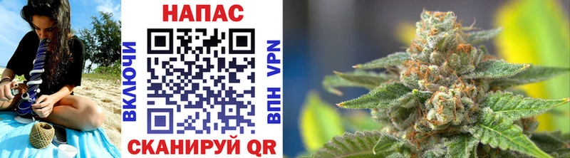 Бошки марихуана SATIVA & INDICA  Бежецк 