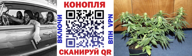 Конопля Ganja Бежецк